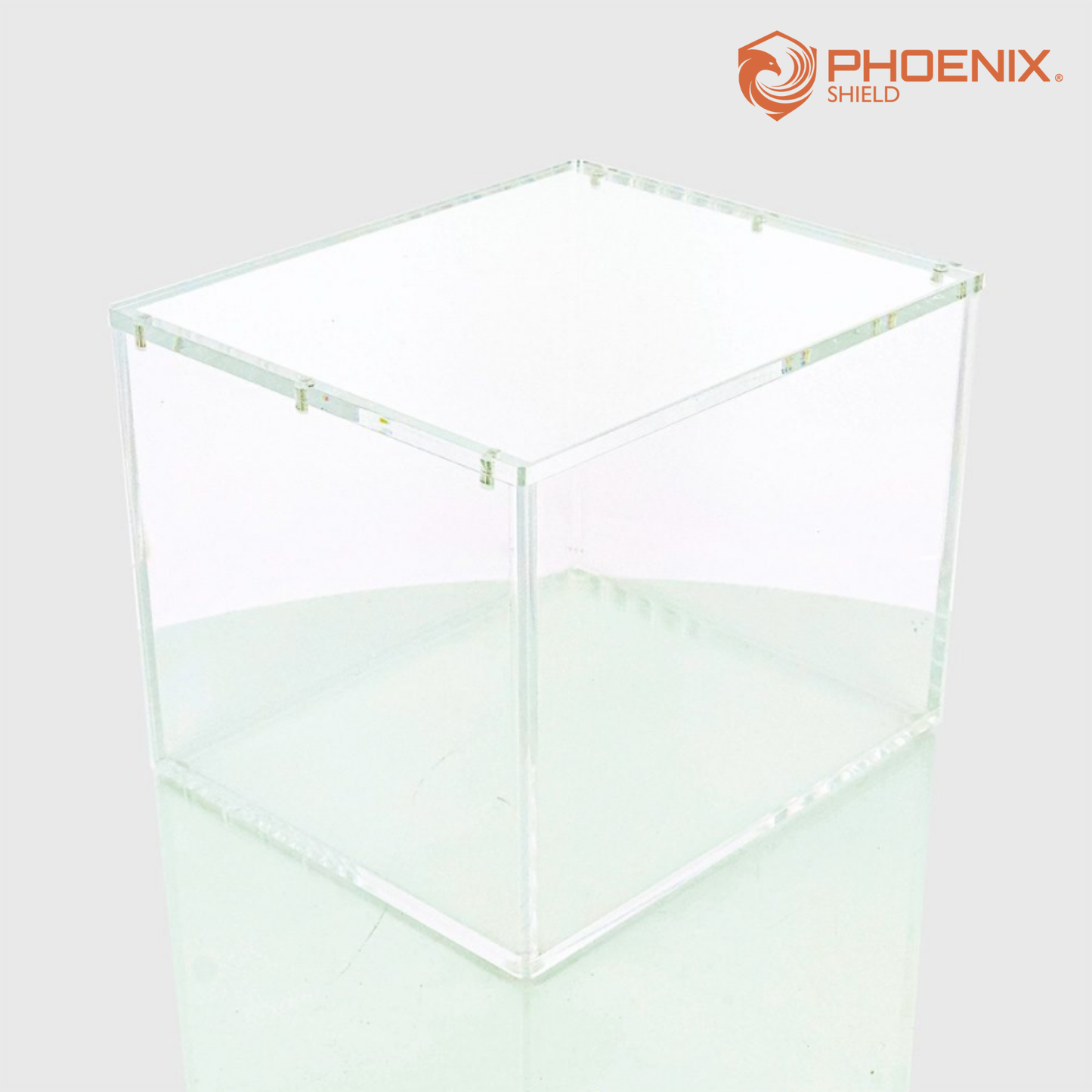 Protection Display 10 Mini Tin - Acrylique - Phoenix Shield