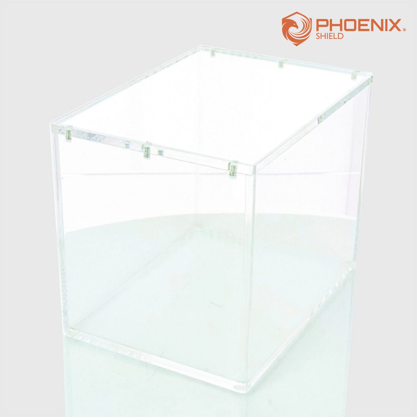 Protection Display 8 mini tin - Acrylique - Phoenix Shield