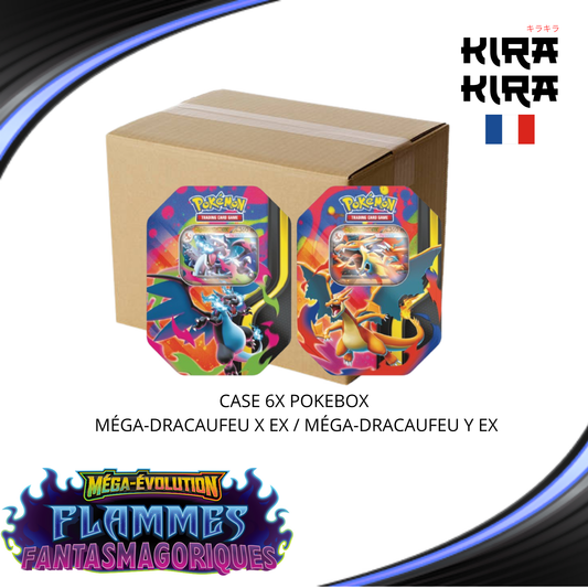 Pokémon case Pokebox Méga-Dracaufeu X et Méga-Dracaufeu Y